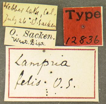 Media type: image;   Entomology 12836 Aspect: labels